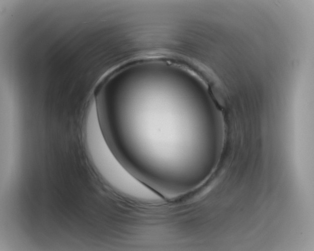 X0000114681457200910211200