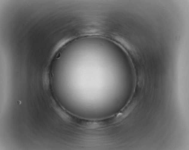 X0000114681458200910211200