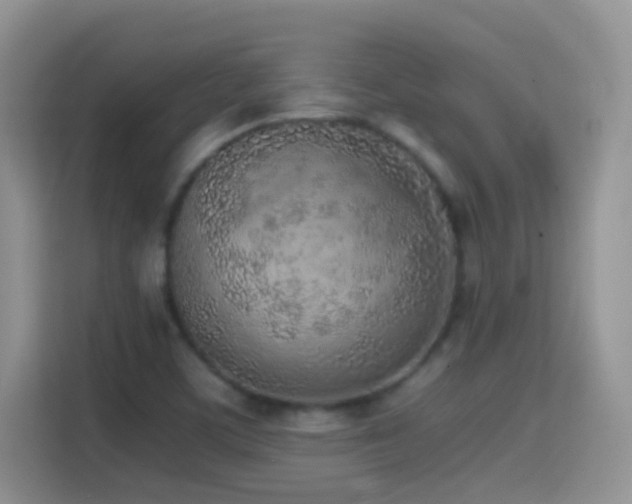 X0000114681459200910211200