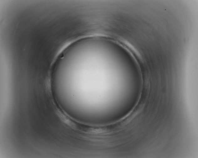 X0000114681460200910211200