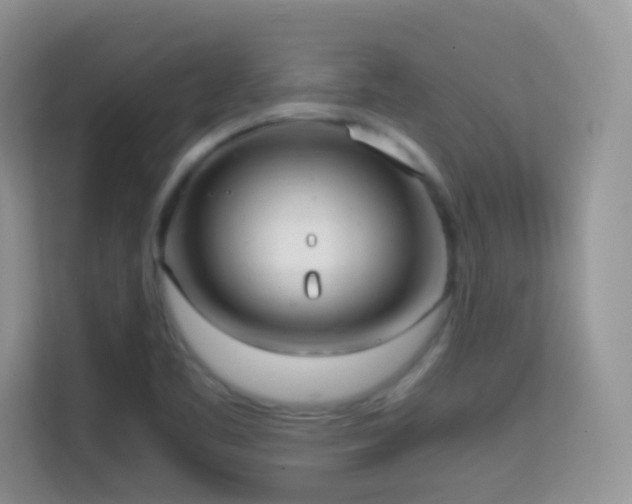 X0000114681461200910211200