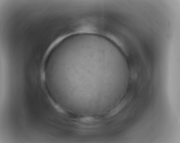 X0000114681462200910211200
