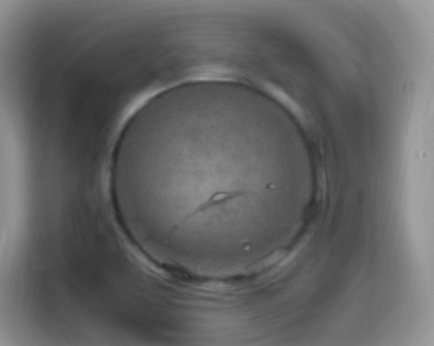 X0000114681463200910211200