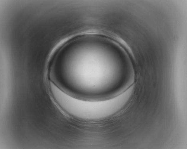 X0000114681464200910211200
