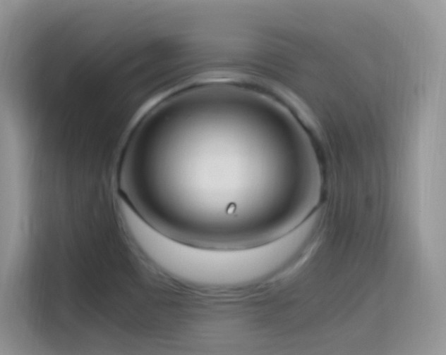 X0000114681465200910211200