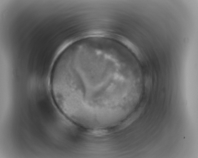 X0000114681466200910211200