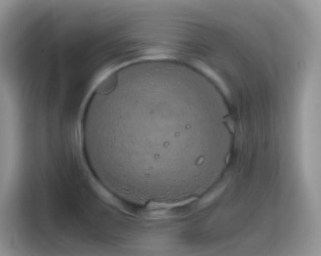 X0000114681467200910211200