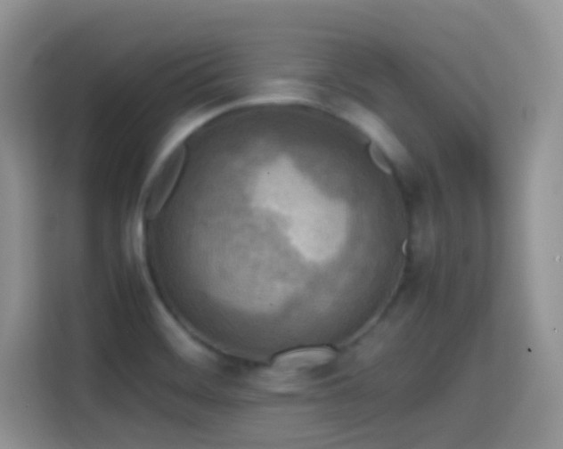 X0000114681468200910211200