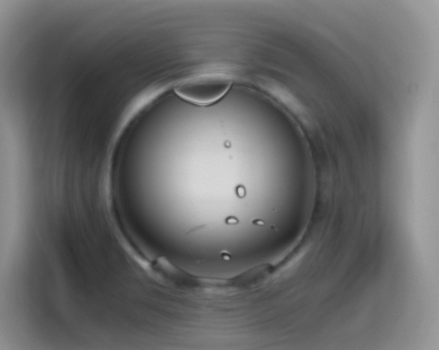 X0000114681469200910211200