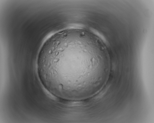 X0000114681471200910211200
