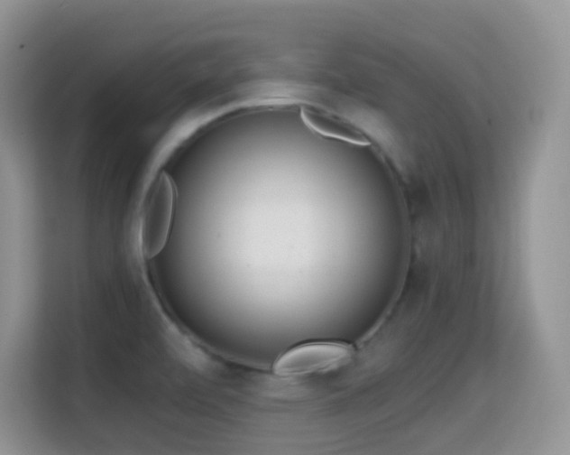 X0000114681472200910211200