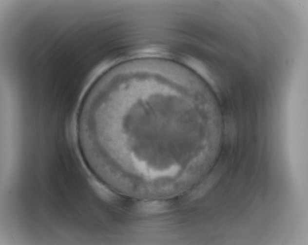 X0000114681474200910211200