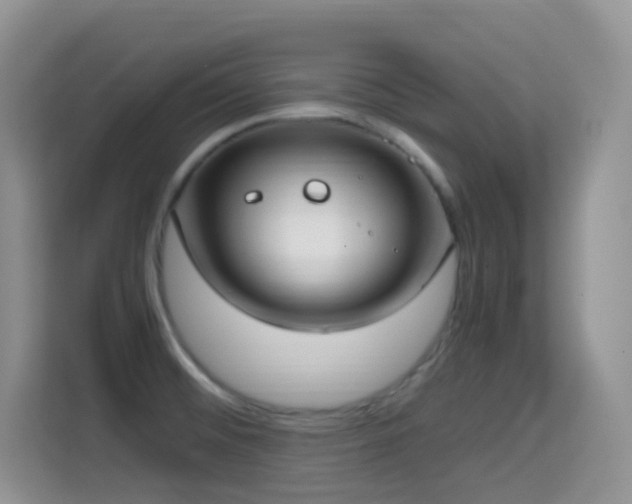 X0000114681476200910211200