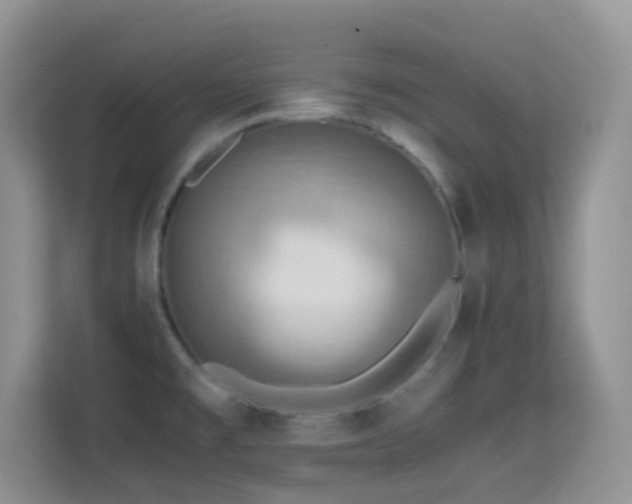 X0000114681477200910211200