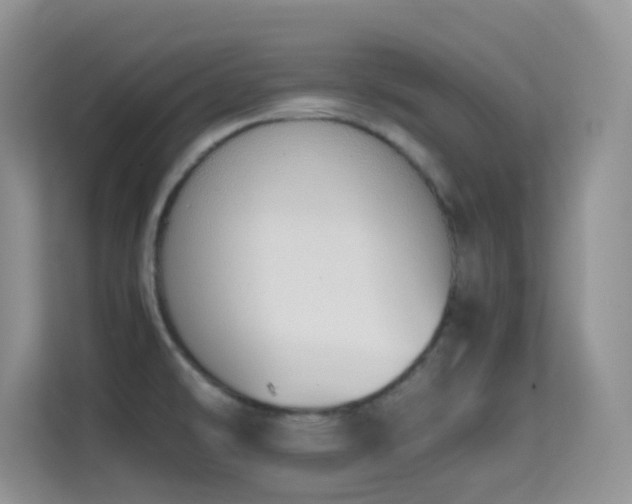 X0000114681478200910211200