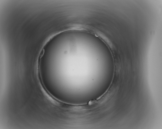 X0000114681479200910211200