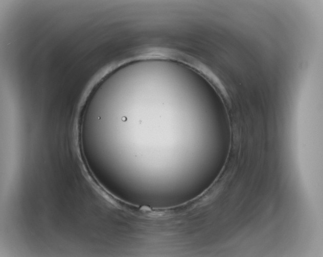 X0000114681480200910211200