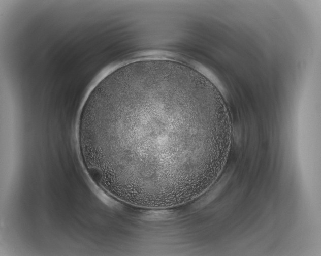 X0000114681482200910211200