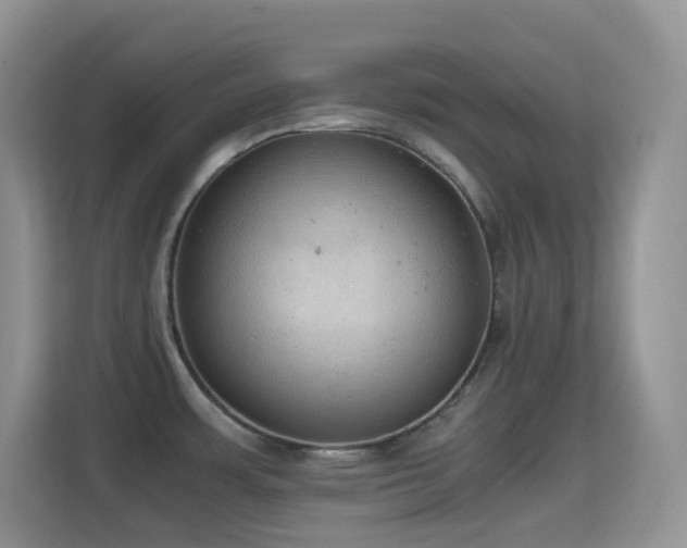 X0000114681483200910211200