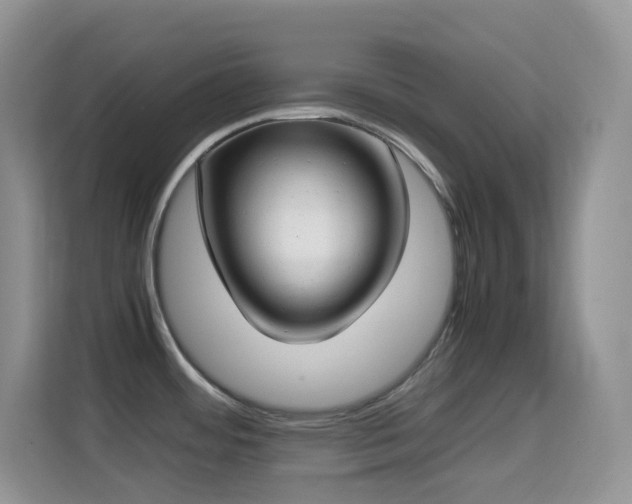 X0000114681484200910211200