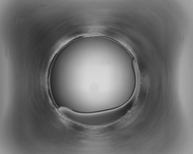 X0000114681485200910211200