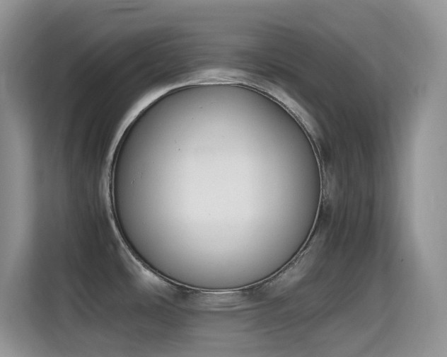 X0000114681486200910211200