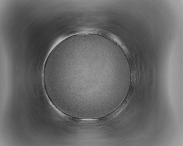 X0000114681487200910211200
