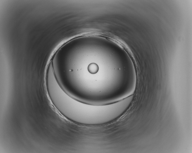 X0000114681488200910211200