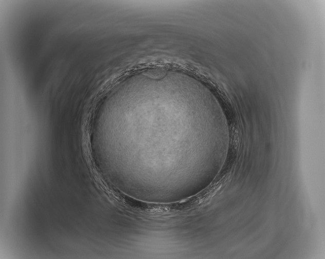 X0000114681489200910211159