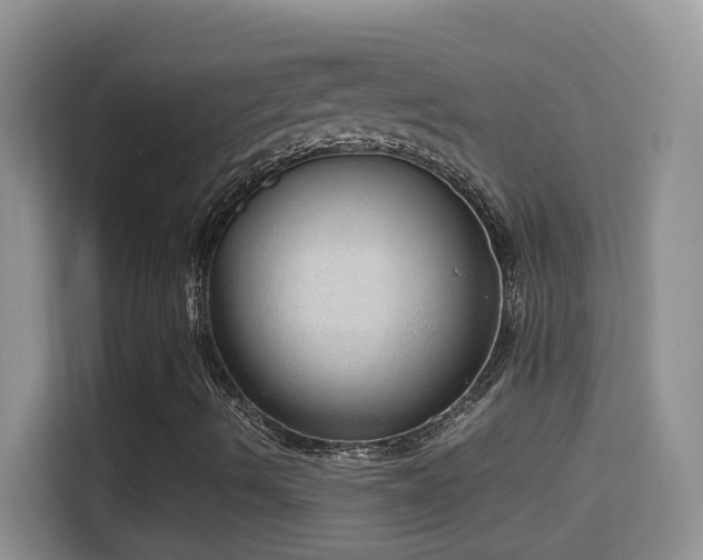 X0000114681490200910211159