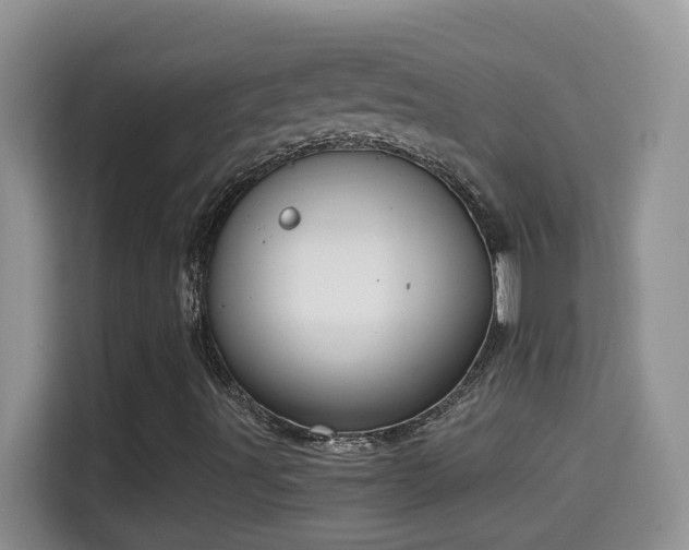 X0000114681491200910211159