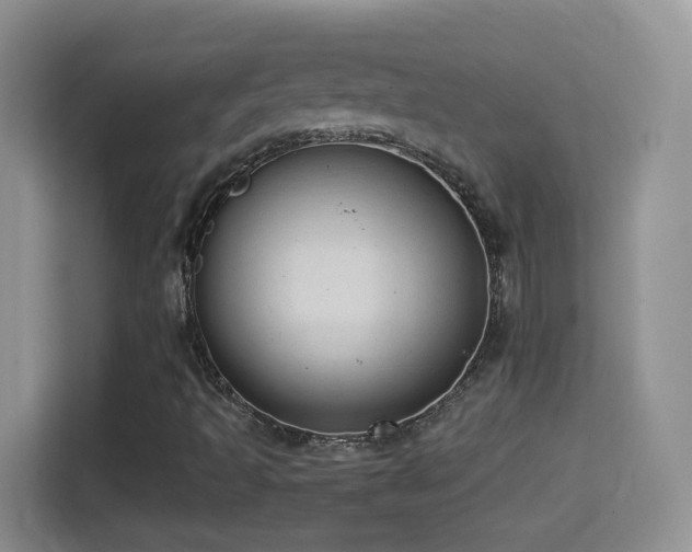 X0000114681493200910211200