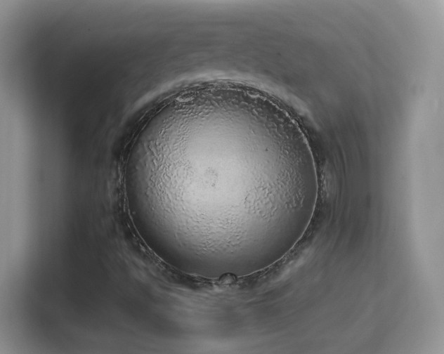 X0000114681494200910211200