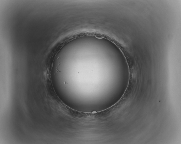 X0000114681495200910211200