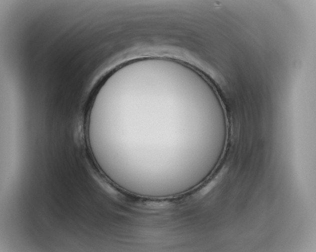 X0000114681498200910211200