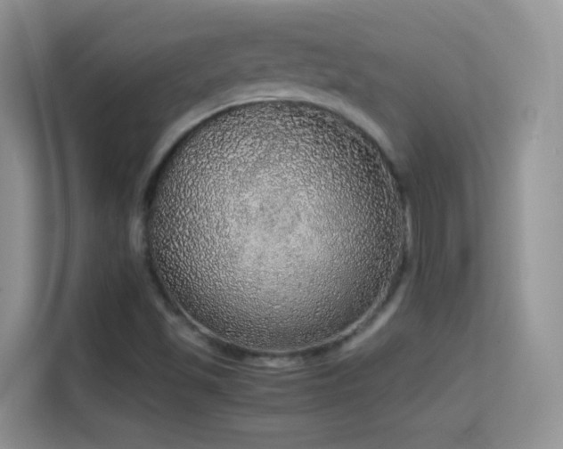 X0000114681501200910211200