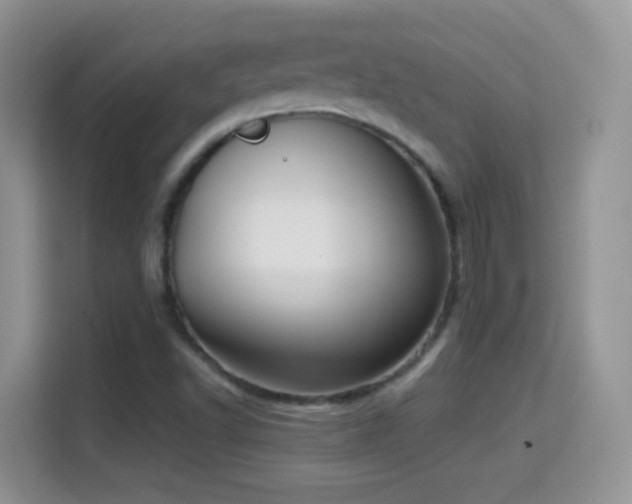 X0000114681502200910211200