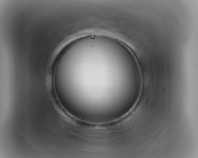 X0000114681503200910211200