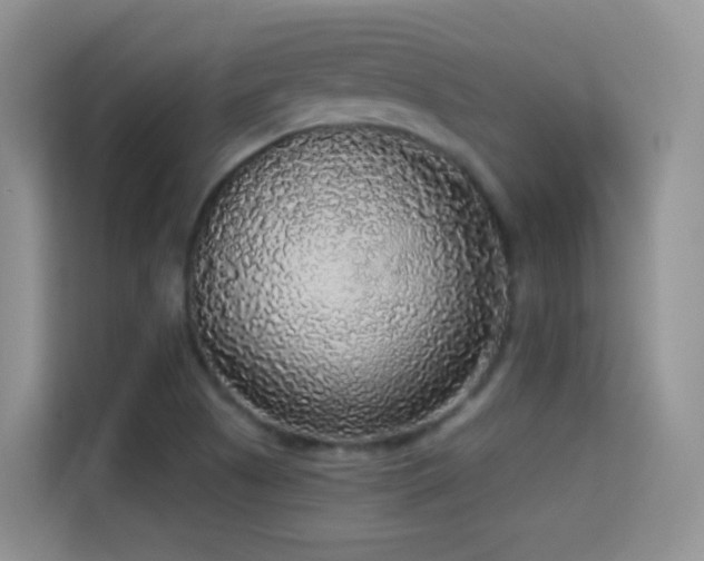 X0000114681505200910211200
