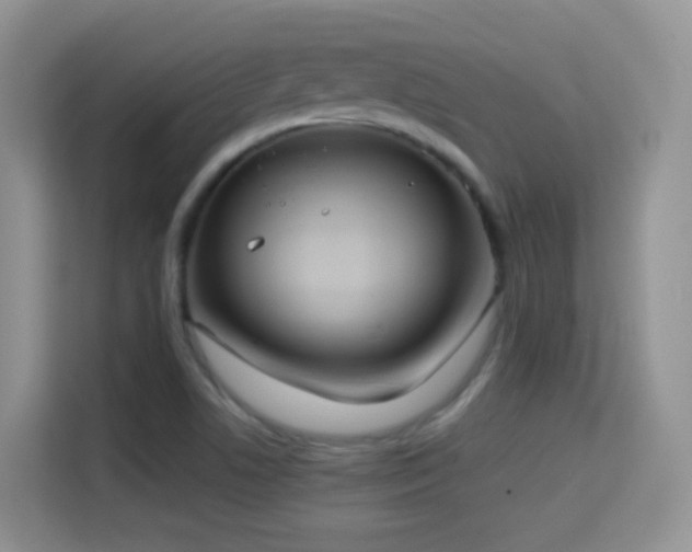 X0000114681506200910211200
