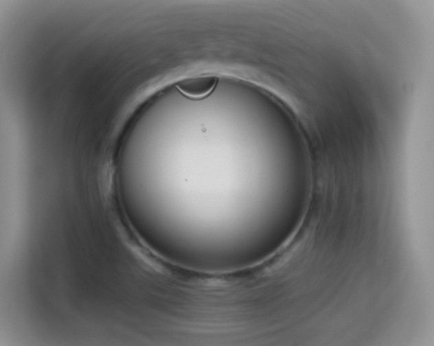 X0000114681507200910211200