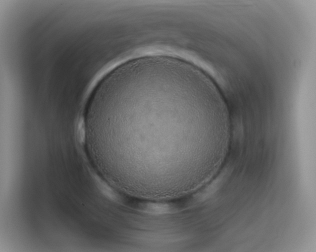 X0000114681509200910211200