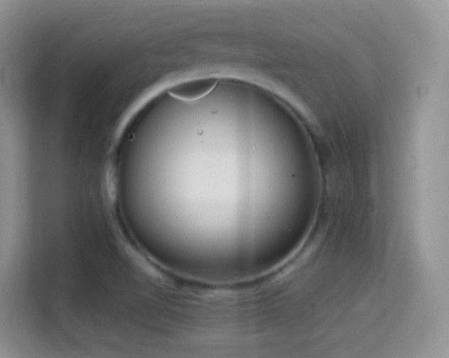X0000114681510200910211200