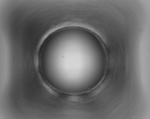 X0000114681511200910211200