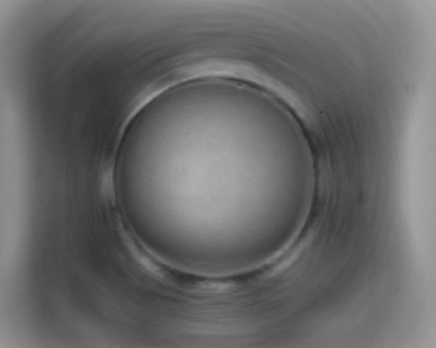 X0000114681513200910211200
