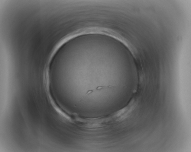X0000114681515200910211200