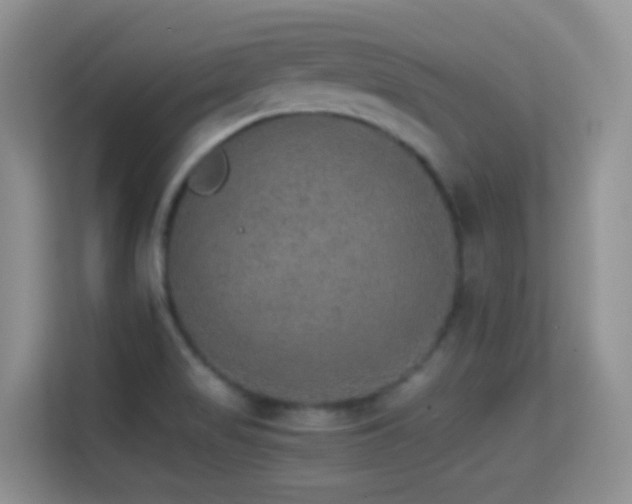 X0000114681517200910211200
