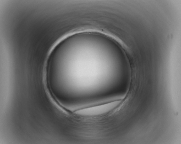 X0000114681518200910211200