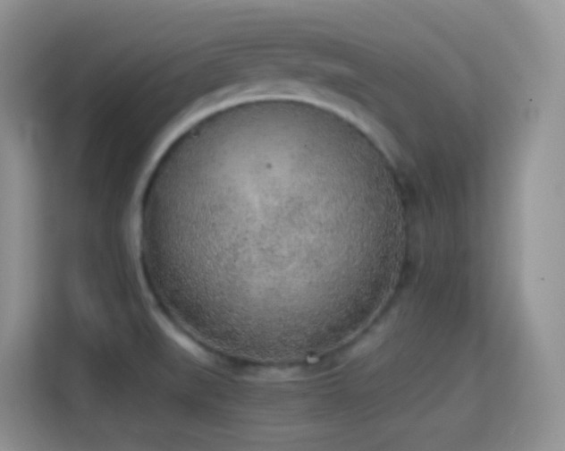 X0000114681519200910211200