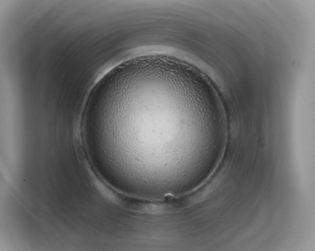 X0000114681521200910211200